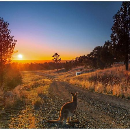 Bulwarra Bed & Breakfast Dubbo Bagian luar foto