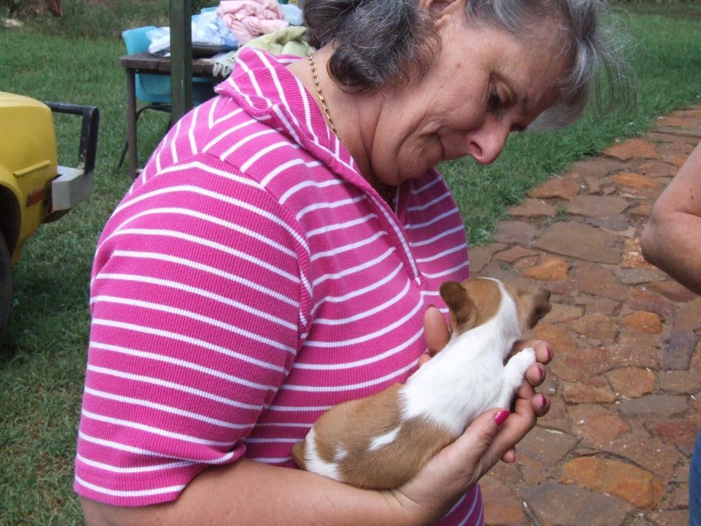 Bulwarra Bed & Breakfast Dubbo Bagian luar foto