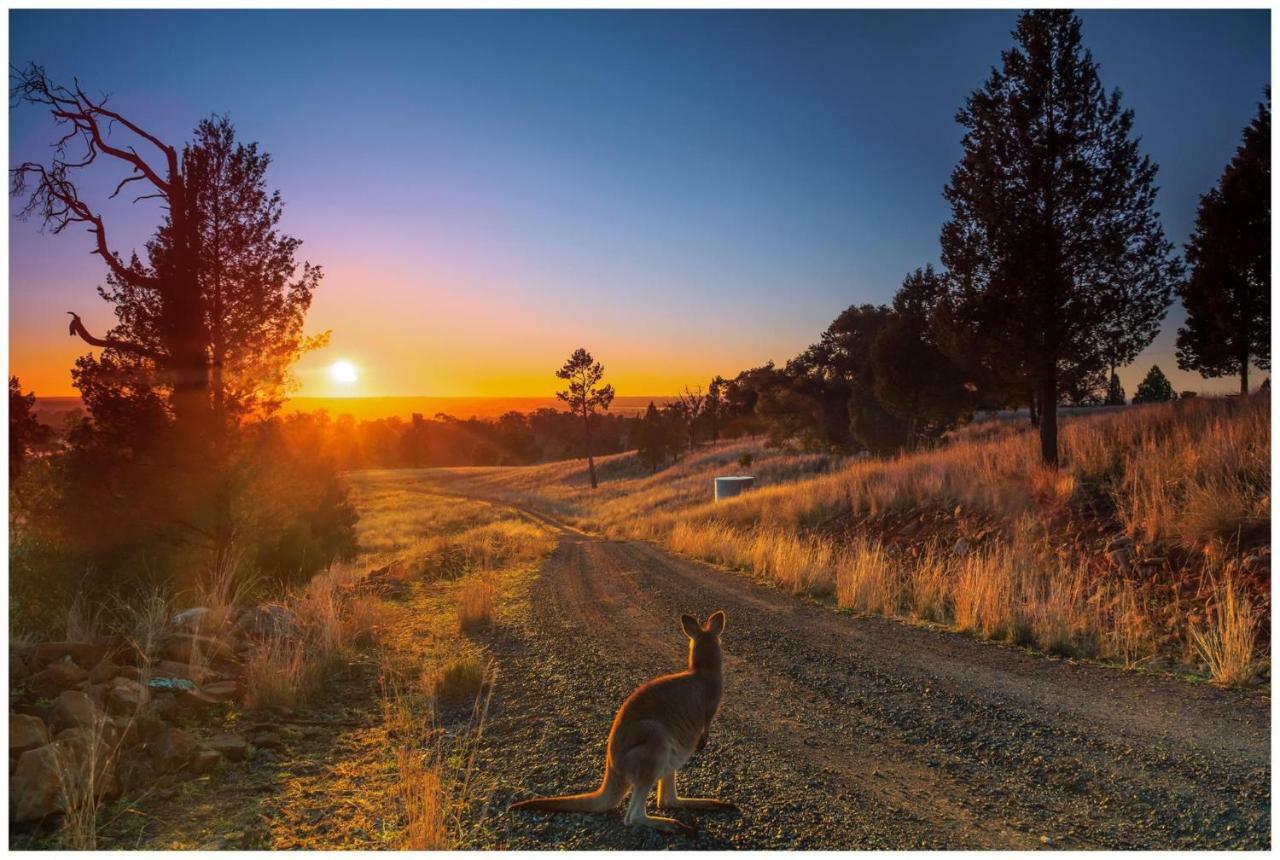 Bulwarra Bed & Breakfast Dubbo Bagian luar foto
